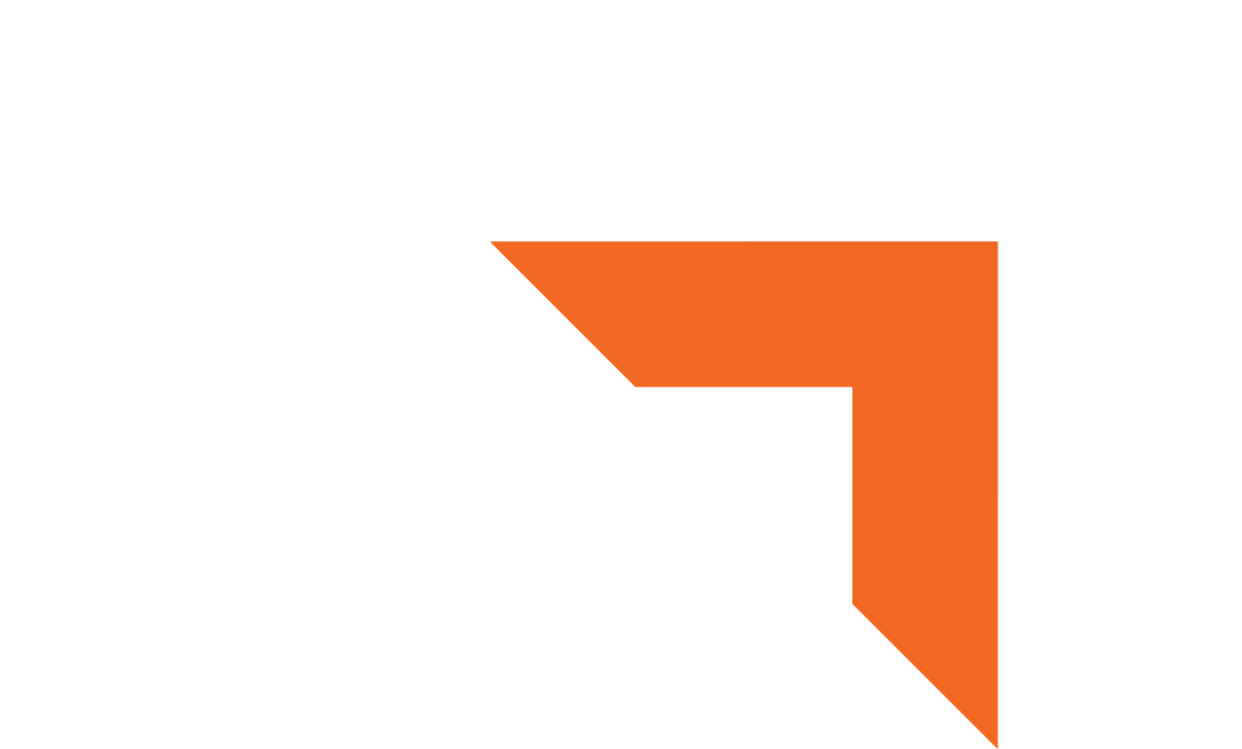 DMC Duke McCaffrey Logo